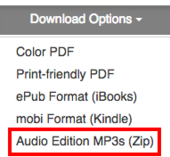 audio-edition-2